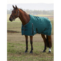 Deken Weatherbeeta ComFiTec Classic Turnout 220 g Bosgroen / zwart