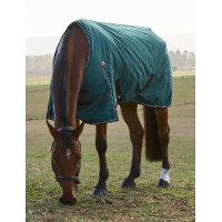 Deken Weatherbeeta ComFiTec Classic Turnout 220 g Bosgroen / zwart Deken Weatherbeeta ComFiTec Classic Turnout 220 g Bosgroen / zwart