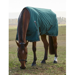 Deken Weatherbeeta ComFiTec Classic Turnout 220 g Bosgroen / zwart Deken Weatherbeeta ComFiTec Classic Turnout 220 g Bosgroen / zwart
