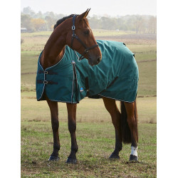 Deken Weatherbeeta ComFiTec Classic Turnout 220 g Bosgroen / zwart Deken Weatherbeeta ComFiTec Classic Turnout 220 g Bosgroen / zwart