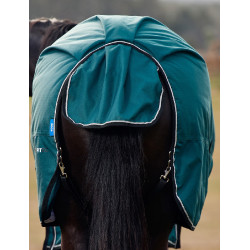 Deken Weatherbeeta ComFiTec Classic Turnout 50 g Bosgroen / zwart