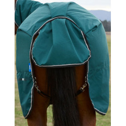 new Bosgroen / zwart