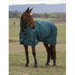 new Bosgroen / zwart