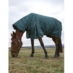 new Bosgroen / zwart