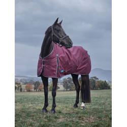 new Bourgogne / marine