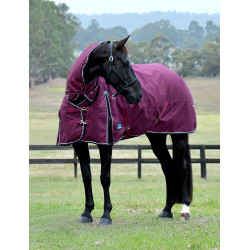 Weatherbeeta ComFiTec Essential Turnout 360g combo deken Bourgogne / marine Weatherbeeta ComFiTec Essential Turnout 360g combo deken Bourgogne / marine