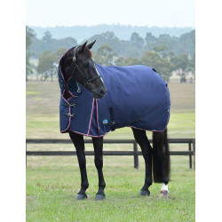 Weatherbeeta ComFiTec Essential Turnout 360g combo deken Marine / bordeaux Weatherbeeta ComFiTec Essential Turnout 360g combo deken Marine / bordeaux