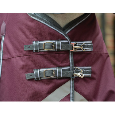 Deken Weatherbeeta ComFiTec Plus Dynamic II Medium / Lite Bordeaux / grijs / wit Deken Weatherbeeta ComFiTec Plus Dynamic II Medium / Lite Bordeaux / grijs / wit