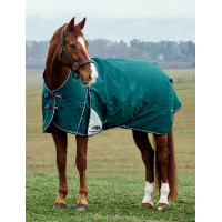 Weatherbeeta ComFiTec Plus Dynamic Turnout deken 100 g met hoge hals Bosgroen / marineblauw