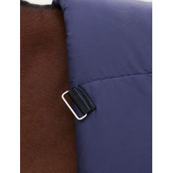 Weatherbeeta ComFiTec Plus Dynamic Turnout deken 100 g met hoge hals Marine / bosgroen Blauw Weatherbeeta ComFiTec Plus Dynamic Turnout deken 100 g met hoge hals Marine / bosgroen Blauw