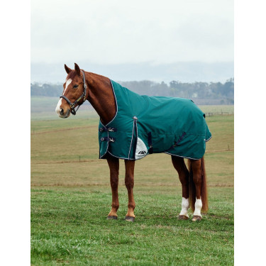 Deken Weatherbeeta ComFiTec Plus Dynamic Turnout 220g high neck Bosgroen / marineblauw Deken Weatherbeeta ComFiTec Plus Dynamic Turnout 220g high neck Bosgroen / marineblauw