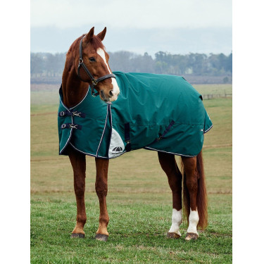 Deken Weatherbeeta ComFiTec Plus Dynamic Turnout 220g high neck Bosgroen / marineblauw Deken Weatherbeeta ComFiTec Plus Dynamic Turnout 220g high neck Bosgroen / marineblauw