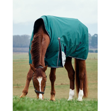 Deken Weatherbeeta ComFiTec Plus Dynamic Turnout 220g high neck Bosgroen / marineblauw Deken Weatherbeeta ComFiTec Plus Dynamic Turnout 220g high neck Bosgroen / marineblauw
