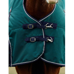 Deken Weatherbeeta ComFiTec Plus Dynamic Turnout 220g high neck Bosgroen / marineblauw Deken Weatherbeeta ComFiTec Plus Dynamic Turnout 220g high neck Bosgroen / marineblauw