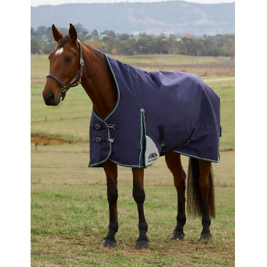 Deken Weatherbeeta ComFiTec Plus Dynamic Turnout 220g high neck Marine / bosgroen Blauw Deken Weatherbeeta ComFiTec Plus Dynamic Turnout 220g high neck Marine / bosgroen Blauw