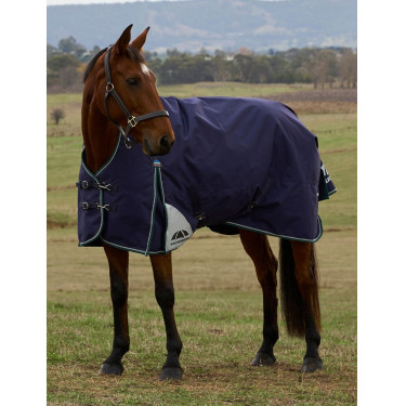 Deken Weatherbeeta ComFiTec Plus Dynamic Turnout 220g high neck Marine / bosgroen Blauw Deken Weatherbeeta ComFiTec Plus Dynamic Turnout 220g high neck Marine / bosgroen Blauw