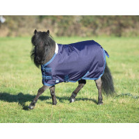 Miniatuurhoes Tempest Shires Marine / turquoise Blauw