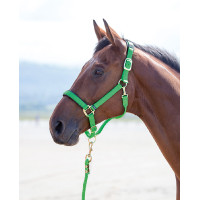 Topaz nylon halster Shires Groen