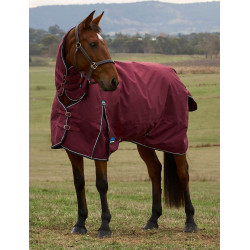 Weatherbeeta ComFiTec Prelim Turnout Combo 220 g deken Bourgogne / marine Weatherbeeta ComFiTec Prelim Turnout Combo 220 g deken Bourgogne / marine