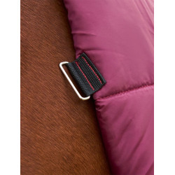 Weatherbeeta ComFiTec Prelim Turnout Combo 220 g deken Bourgogne / marine Weatherbeeta ComFiTec Prelim Turnout Combo 220 g deken Bourgogne / marine