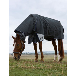 Weatherbeeta ComFiTec Ultra Turnout 220g deken met afneembare halsdeel Houtskool Grijs Weatherbeeta ComFiTec Ultra Turnout 220g deken met afneembare halsdeel Houtskool Grijs