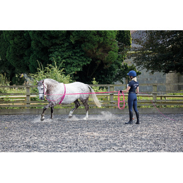 Chambrière Shires 160 cm Chambrière Shires 160 cm