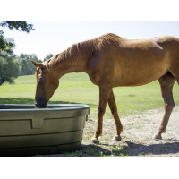 Ovale Kerbl voederbak Ovale Kerbl voederbak