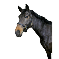 Eco lederen halster Covalliero
