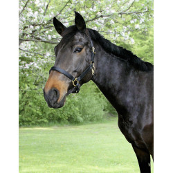 Eco lederen halster Covalliero Eco lederen halster Covalliero