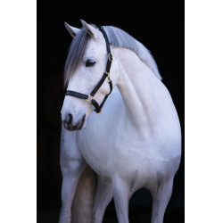 Eco lederen halster Covalliero Eco lederen halster Covalliero