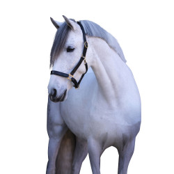 Eco lederen halster Covalliero Eco lederen halster Covalliero