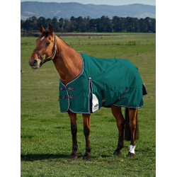 Deken Weatherbeeta ComFiTec Plus Dynamic Turnout 220 g Bosgroen / marineblauw