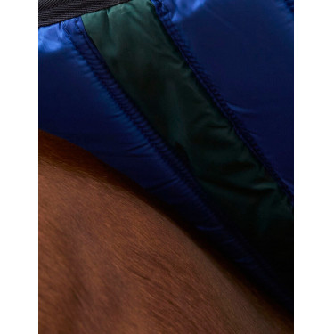 Deken Weatherbeeta ComFiTec Plus Dynamic Turnout 220 g Bosgroen / marineblauw Deken Weatherbeeta ComFiTec Plus Dynamic Turnout 220 g Bosgroen / marineblauw