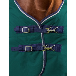 Deken Weatherbeeta ComFiTec Plus Dynamic Turnout 220 g Bosgroen / marineblauw