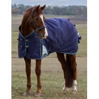 Deken Weatherbeeta ComFiTec Plus Dynamic Turnout 220 g Marine / bosgroen Blauw