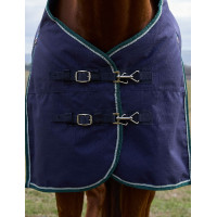 Deken Weatherbeeta ComFiTec Plus Dynamic Turnout 220 g Marine / bosgroen Blauw