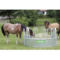 Ronde gegalvaniseerde...