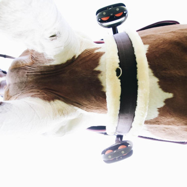 Schapenvacht singel Kentucky Bruin Schapenvacht singel Kentucky Bruin