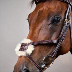 Gevlochten Mexicaanse Neusriem Hoofdstel D Collection Dy'on Bruin Gevlochten Mexicaanse Neusriem Hoofdstel D Collection Dy'on Bruin