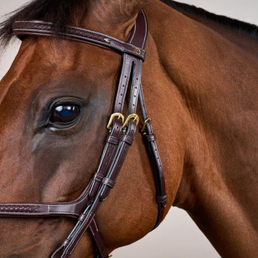 Gevlochten Mexicaanse Neusriem Hoofdstel D Collection Dy'on Bruin Gevlochten Mexicaanse Neusriem Hoofdstel D Collection Dy'on Bruin