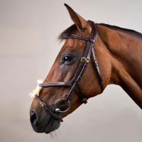 Gevlochten Mexicaanse Neusriem Hoofdstel D Collection Dy'on Zwart Gevlochten Mexicaanse Neusriem Hoofdstel D Collection Dy'on Zwart