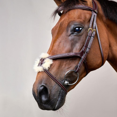 Gevlochten Mexicaanse Neusriem Hoofdstel D Collection Dy'on Bruin Gevlochten Mexicaanse Neusriem Hoofdstel D Collection Dy'on Bruin