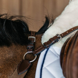 Borsttuig met 5 punten met elastieken New English Collection Dy'on Bruin