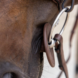 Siliconen bitringen Grooming Deluxe van Kentucky Bruin Siliconen bitringen Grooming Deluxe van Kentucky Bruin