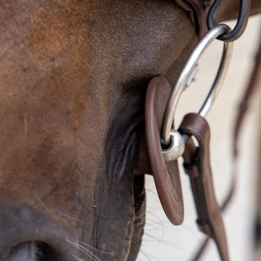 Siliconen bitringen Grooming Deluxe van Kentucky Bruin Siliconen bitringen Grooming Deluxe van Kentucky Bruin