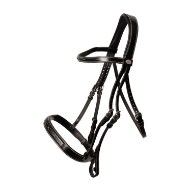 Hunter-hoofdstel Dy'on Zwart