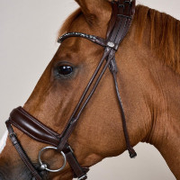 Trens met brede neusriem van soepel leer Dy'on Bruin