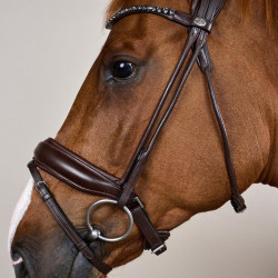 Trens met brede neusriem van soepel leer Dy'on Bruin