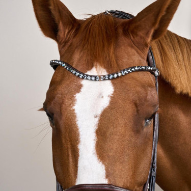 Trens met brede neusriem van soepel leer Dy'on Bruin