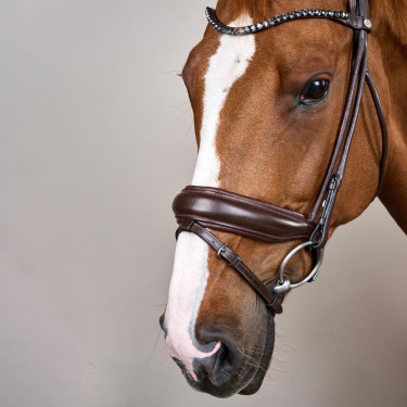 Trens met brede neusriem van soepel leer Dy'on Bruin